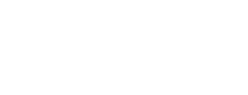 Mena Spine Logo 2nd 2