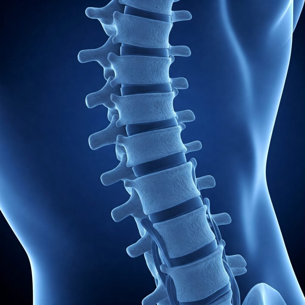 Gemini Generated Image xr5l24xr5l24xr5l 1024x1024